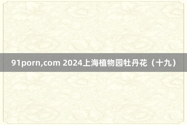 91porn，com 2024上海植物园牡丹花（十九）