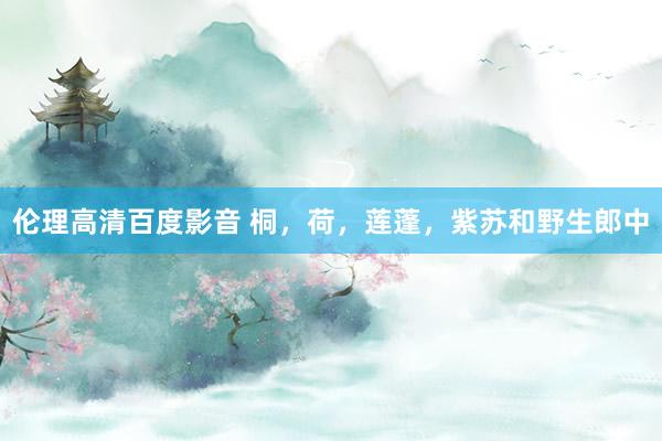伦理高清百度影音 桐，荷，莲蓬，紫苏和野生郎中