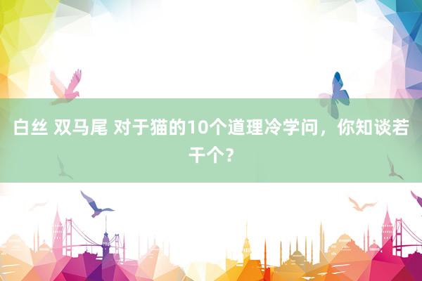 白丝 双马尾 对于猫的10个道理冷学问，你知谈若干个？