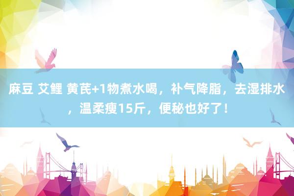 麻豆 艾鲤 黄芪+1物煮水喝，补气降脂，去湿排水，温柔瘦15斤，便秘也好了！