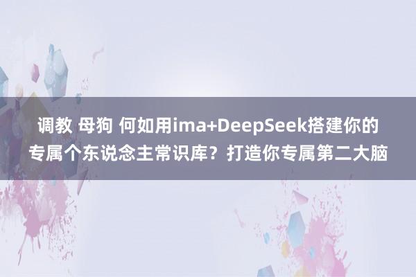 调教 母狗 何如用ima+DeepSeek搭建你的专属个东说念主常识库？打造你专属第二大脑